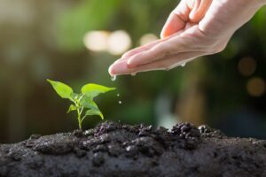 Das fünfte Gebot: Du sollst nicht töten