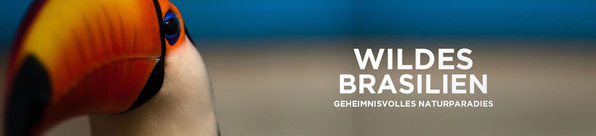 Wildes Brasilien